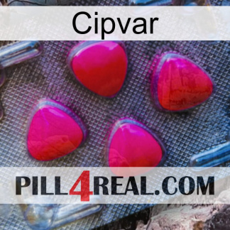 Cipvar 13